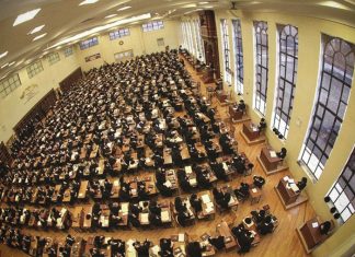Beheimah Fleisch // Wondering what’s on my plate—and other yeshivah mysteries