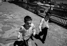 All Yeshivos Now Under Threat // Rabbi Chaim Dovid Zwiebel on the new education guidelines