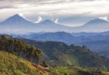 The Land of A Thousand Hills // A visit to Rwanda—the traumatized heart of Africa