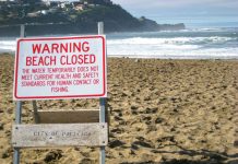 Who Polluted America’s Beaches? // Part Two: Exxon: Slicker Than Oil
