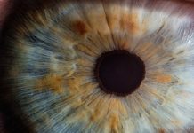 Eye Surgery Sharpened More Than My Sight // The primary importance of gratitude