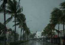 Waiting for the Storm // Residents of Miami prepare for a possible hurricane
