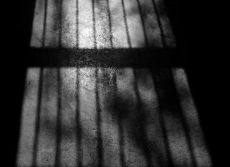 For the Sake of the Children // My brother-in-law believes I betrayed him