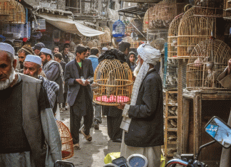 The Last Jew in Afghanistan // My visit with Zabloun Simintov