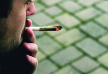 The Marijuana Express // The train has left the station