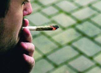 The Marijuana Express // The train has left the station