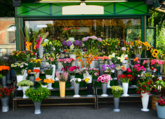 The Flower Frenzy // We thought our Shavuos gift was taken care of