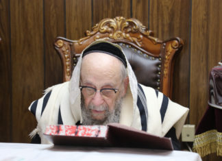Living History // A memorable visit with Rav Grainom Lazewnik