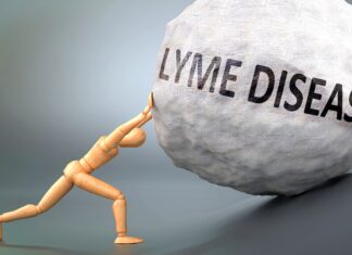 Life After Lyme // It took years until I was diagnosed and a seeming miracle to cure it