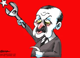 Wild Turkey // Which of Erdoğan’s colors are the true ones?