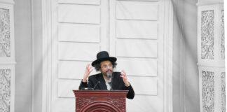 Absorbing Torah