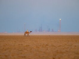Saudi Arabia Switches Gears