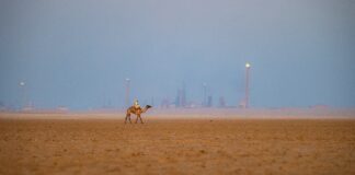 Saudi Arabia Switches Gears