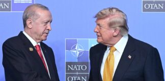 Talking Turkey